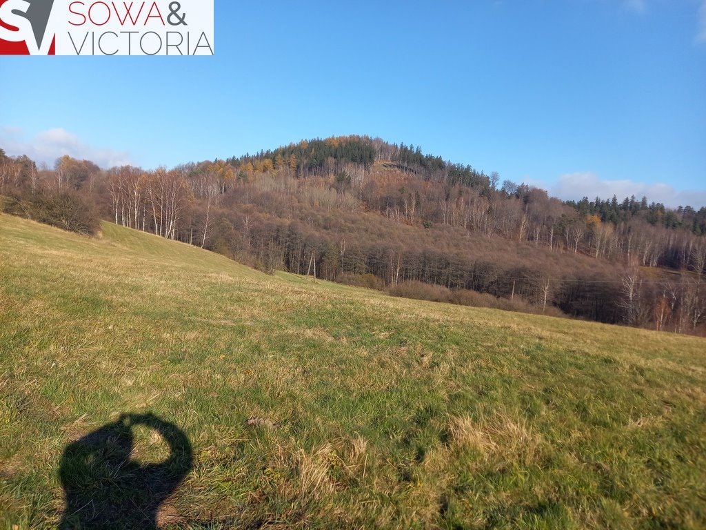 Działka budowlana na sprzedaż Jedlina-Zdrój  21 151m2 Foto 11