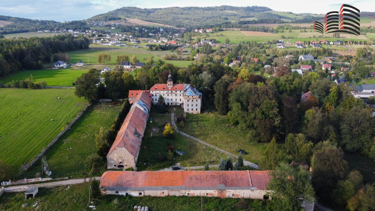 Zabytkowy pałac z folwarkiem i stajniami na 3500 m2 Dziwiszów, Dębowa  3 500m2 Foto 1