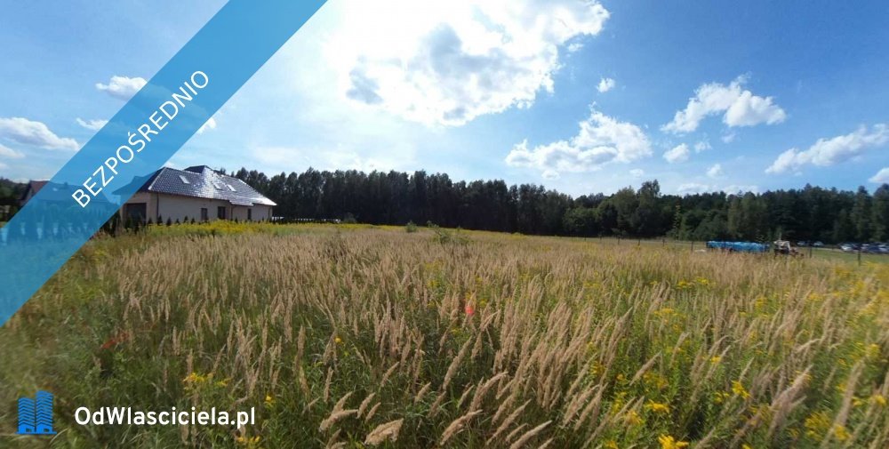 Malownicza działka 3450 m² pod lasem, media w drodze - zapraszam Twardogóra  3 450m2 Foto 1