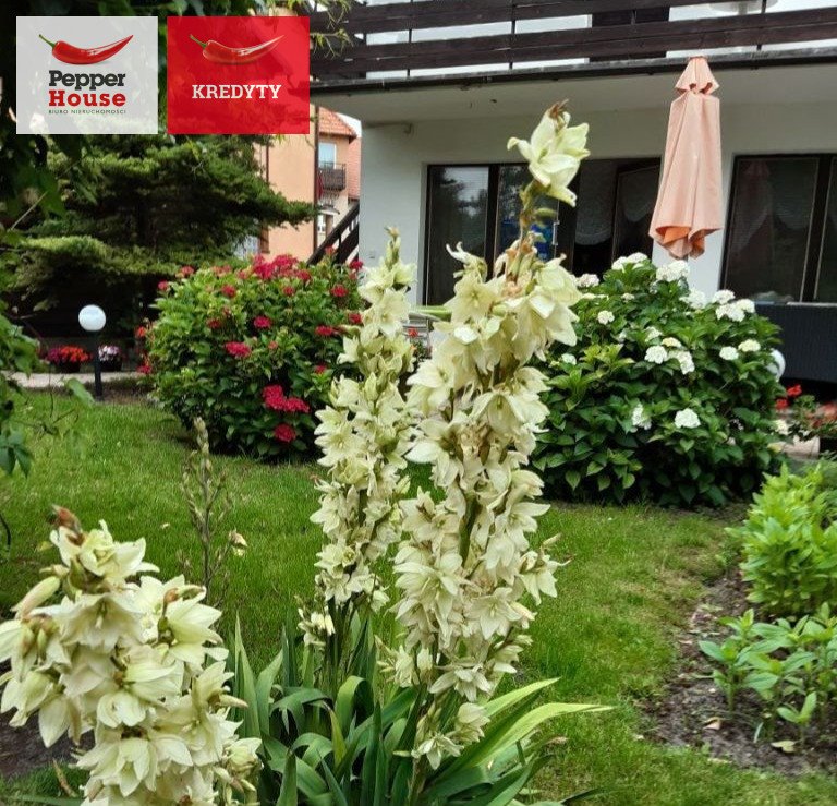 Dom 188 m² z ogrodem i możliwością podziału polecam: Ustka: Żeglarzy