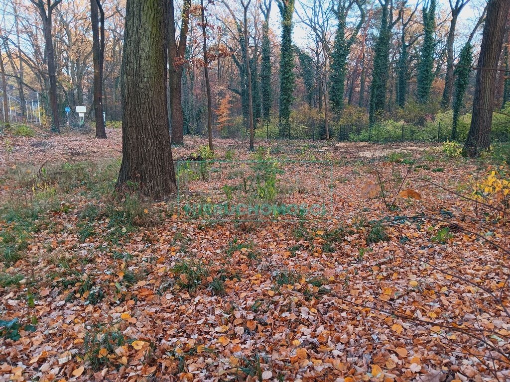 Działka budowlana na sprzedaż Podkowa Leśna  1 754m2 Foto 3