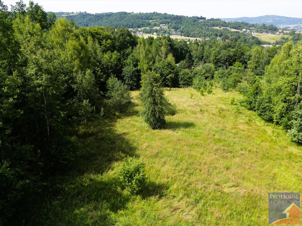 Działka inna na sprzedaż Lipowe  20 300m2 Foto 4