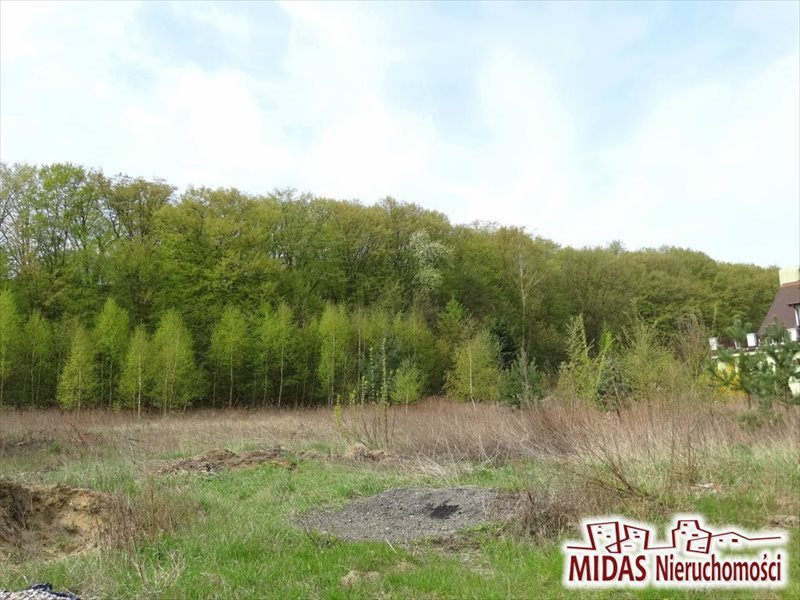 Działka rolna na sprzedaż Aleksandrów Kujawski 955m2 Foto 1 Działka rolna na sprzedaż Aleksandrów Kujawski 955m2 Foto 1