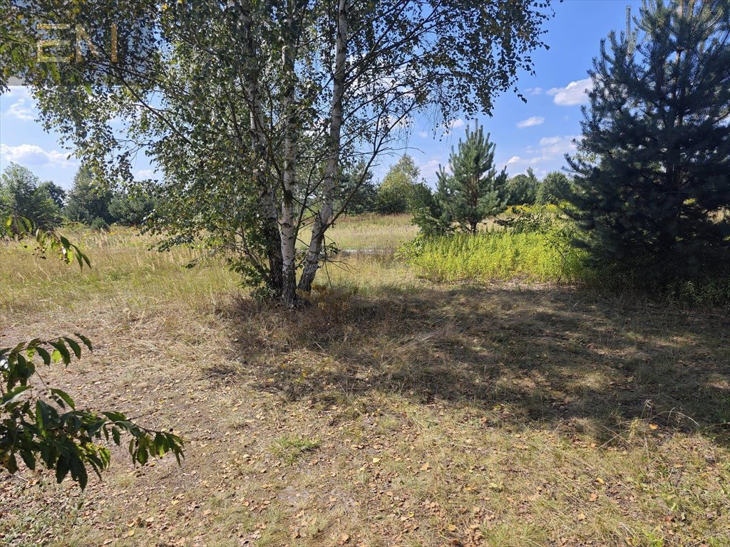 Działka budowlana na sprzedaż Wilcza Wola  1 800m2 Foto 1