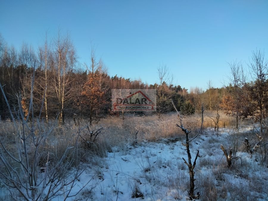 Działka inna na sprzedaż Nowy Żelechów  25 800m2 Foto 10