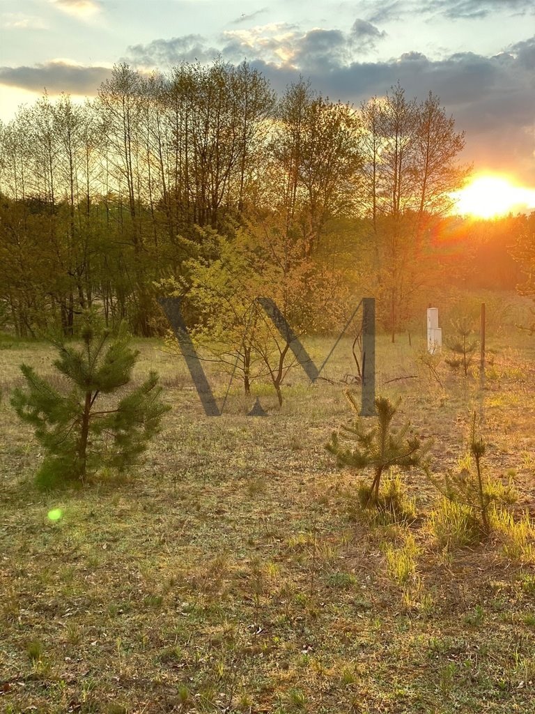 Działka budowlana na sprzedaż Poddębie  1 600m2 Foto 6