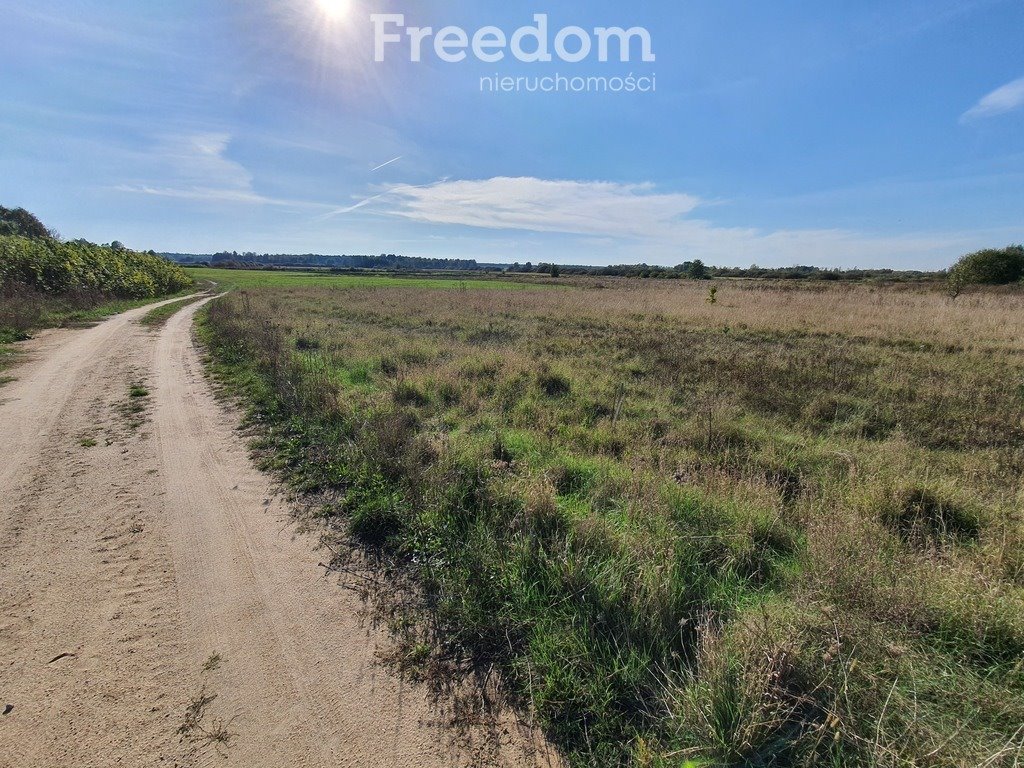 Działka budowlana na sprzedaż Terebela  1 000m2 Foto 5