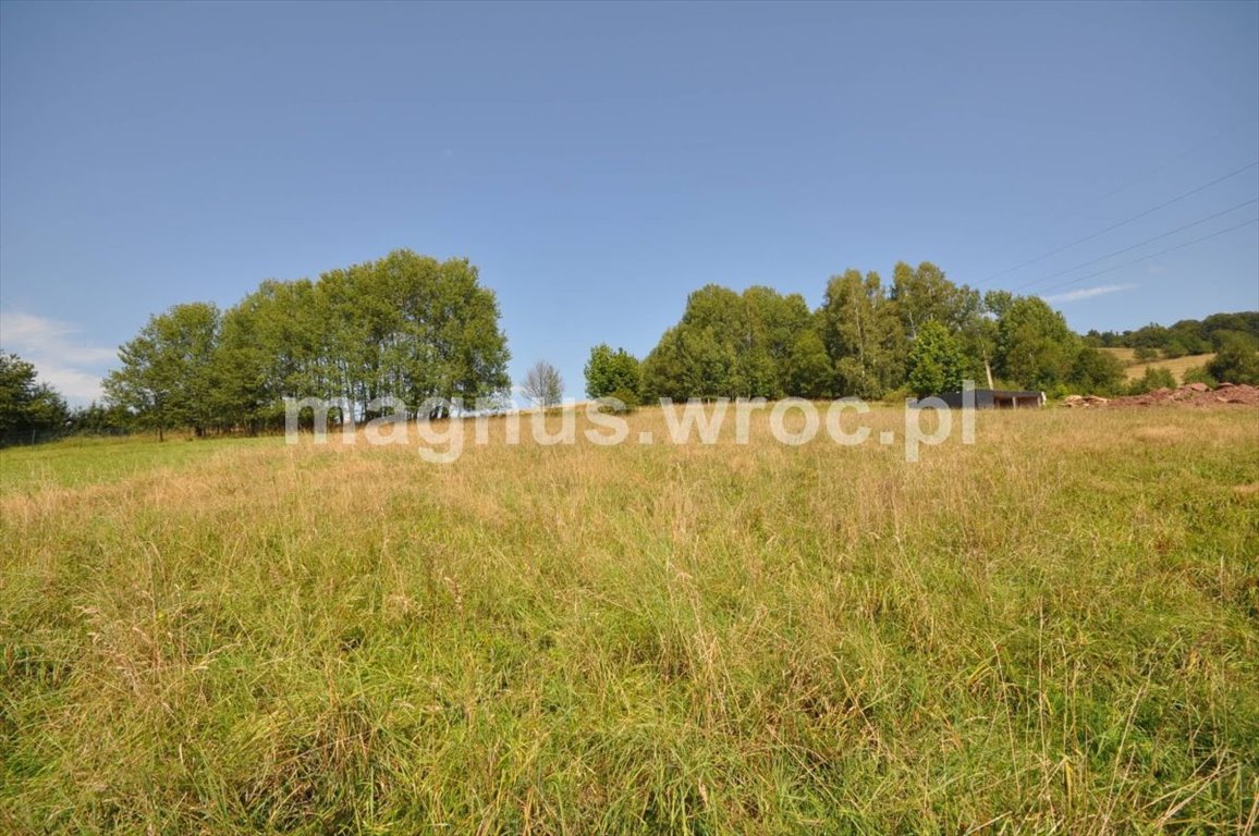 Działka budowlana na sprzedaż Głuszyca, okolice Gdańskiej  1 519m2 Foto 8