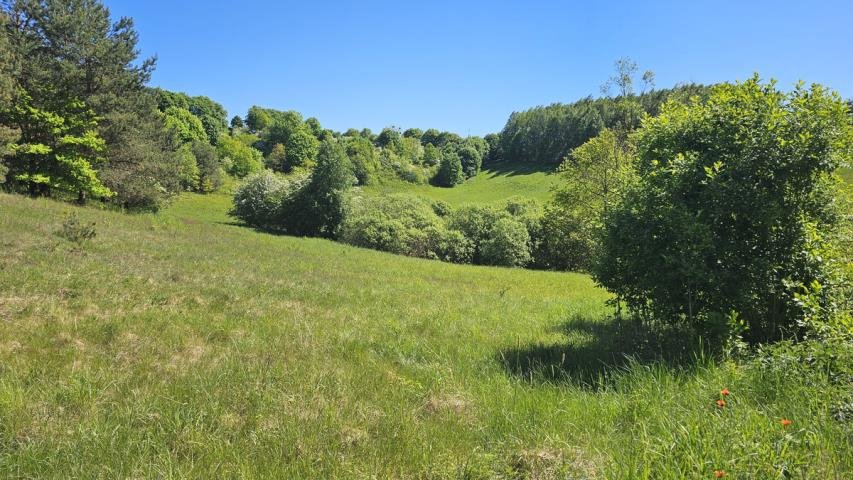 Działka inwestycyjna na sprzedaż Gubity  13 600m2 Foto 2