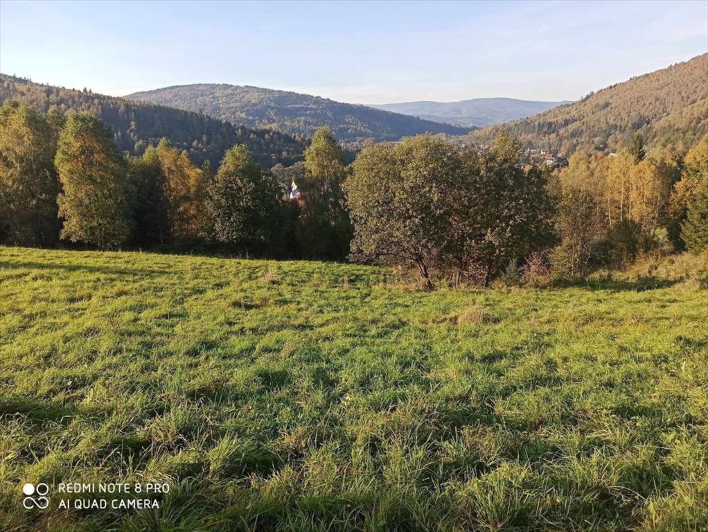 Działka rolna na sprzedaż Rajcza  3 237m2 Foto 6