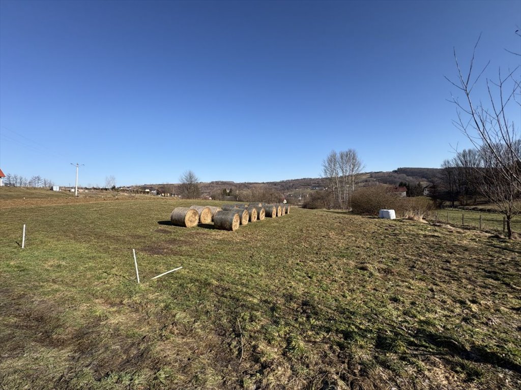 Działka 91 arów z WZ na 4 domy, media, asfalt Borek Stary  9 100m2 Foto 1