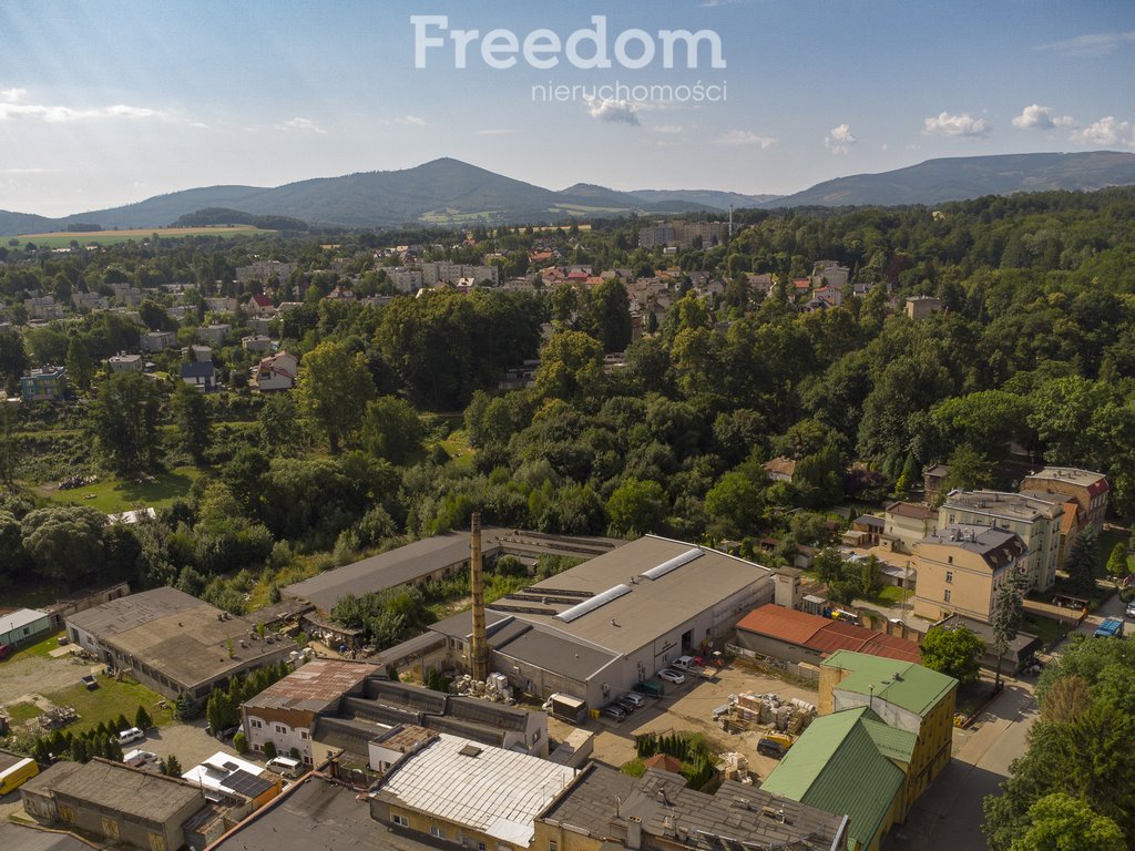 Lokal użytkowy na sprzedaż Głuchołazy, al. Jana Pawła II  346m2 Foto 1