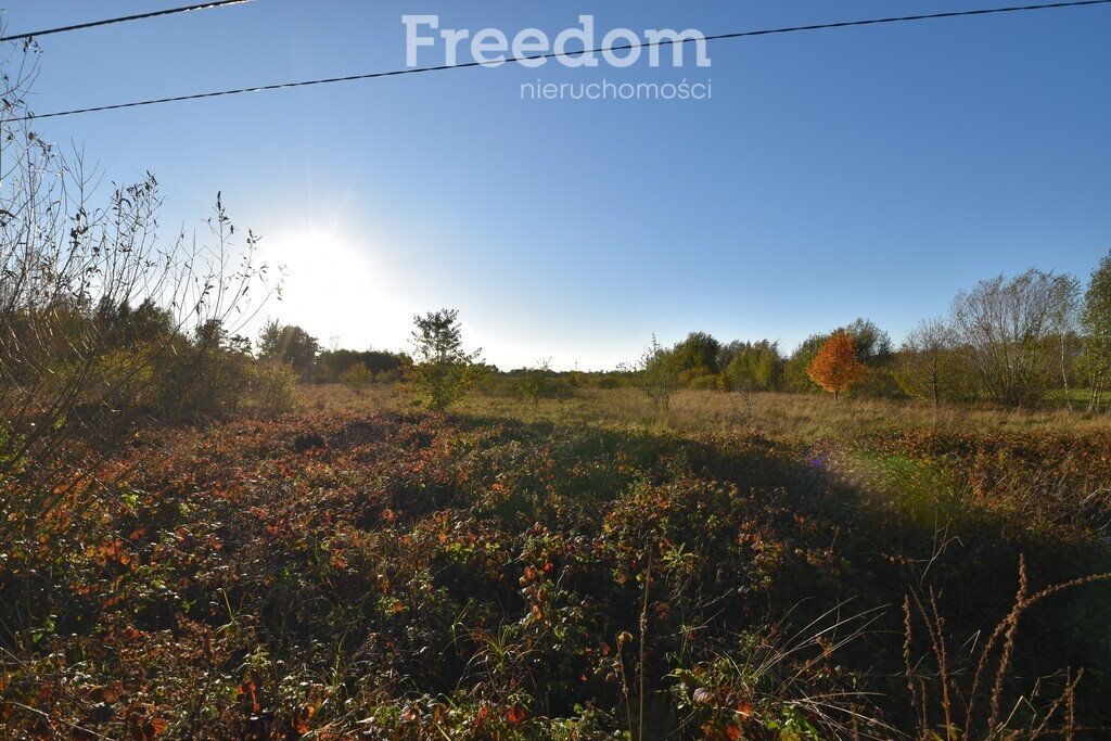 Działka inna na sprzedaż Broniów  6 500m2 Foto 5