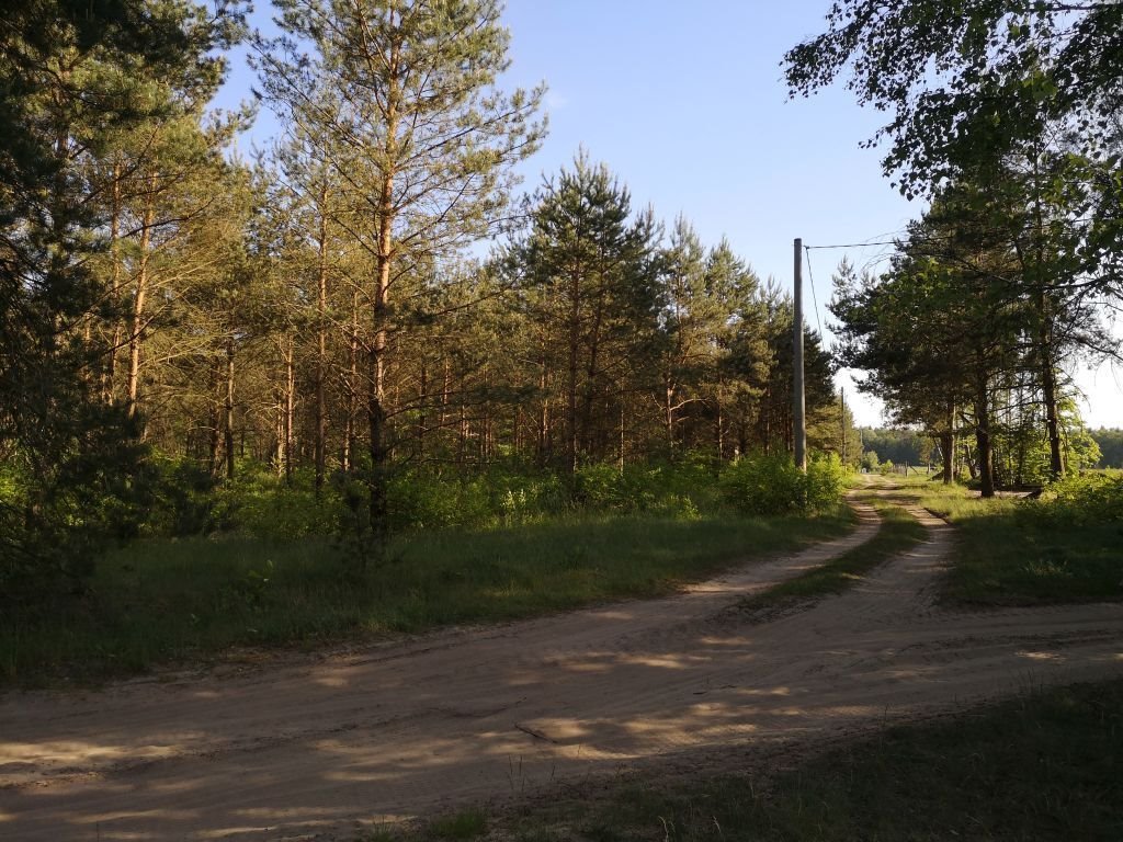 Działka budowlana na sprzedaż Karwica  36 100m2 Foto 5