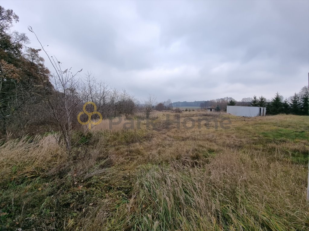 Działka budowlana na sprzedaż Kłoda Górowska  5 644m2 Foto 1