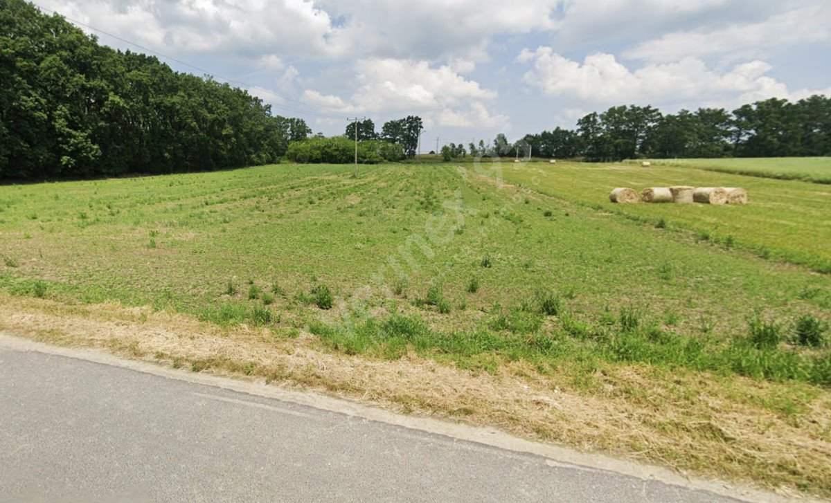 Działka rolna 0,5 ha w Mazurowicach - blisko lasu Mazurowice  5 000m2 Foto 1