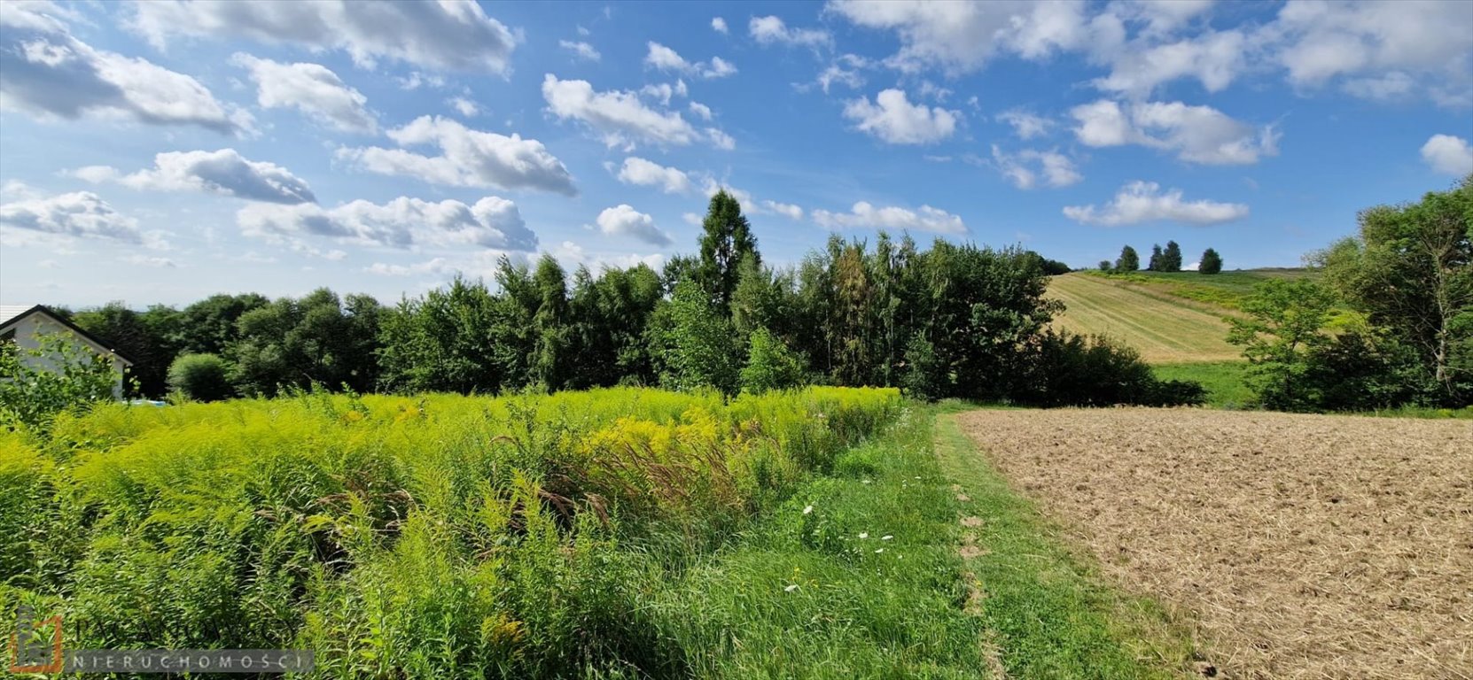 Działka budowlana na sprzedaż Wierzchowie  2 996m2 Foto 1