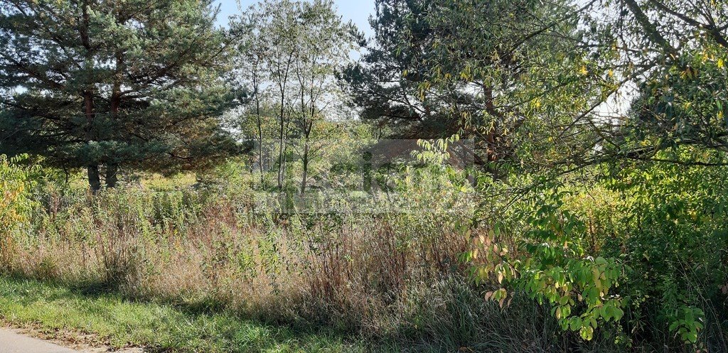 Działka budowlana na sprzedaż Kaliszki  5 464m2 Foto 1