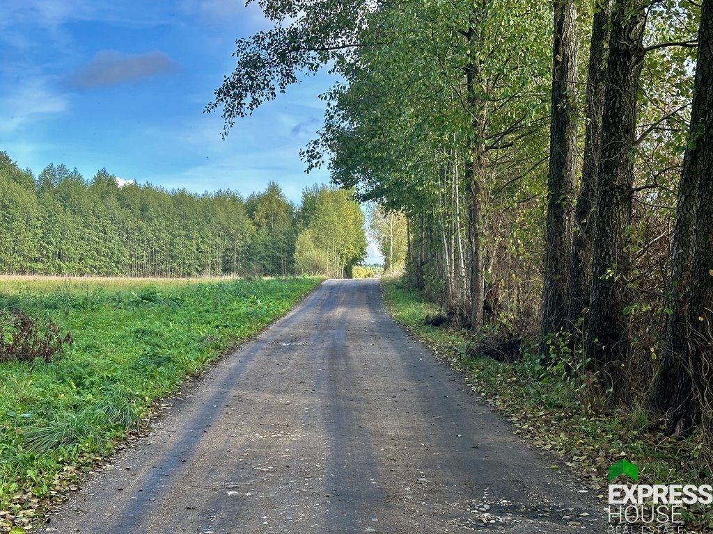 Działka budowlana na sprzedaż Tołcze, Kwiatowa  1 000m2 Foto 1