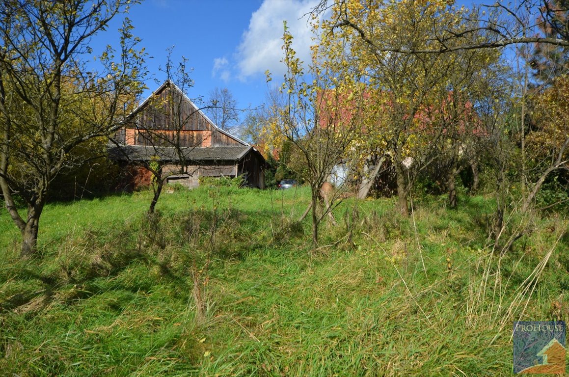 Dom na sprzedaż Stara Wieś  100m2 Foto 5