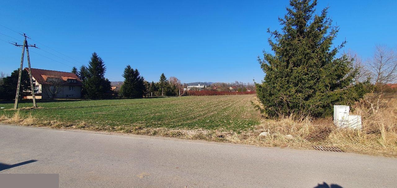 Działka inwestycyjna na sprzedaż Morawica  4 000m2 Foto 1