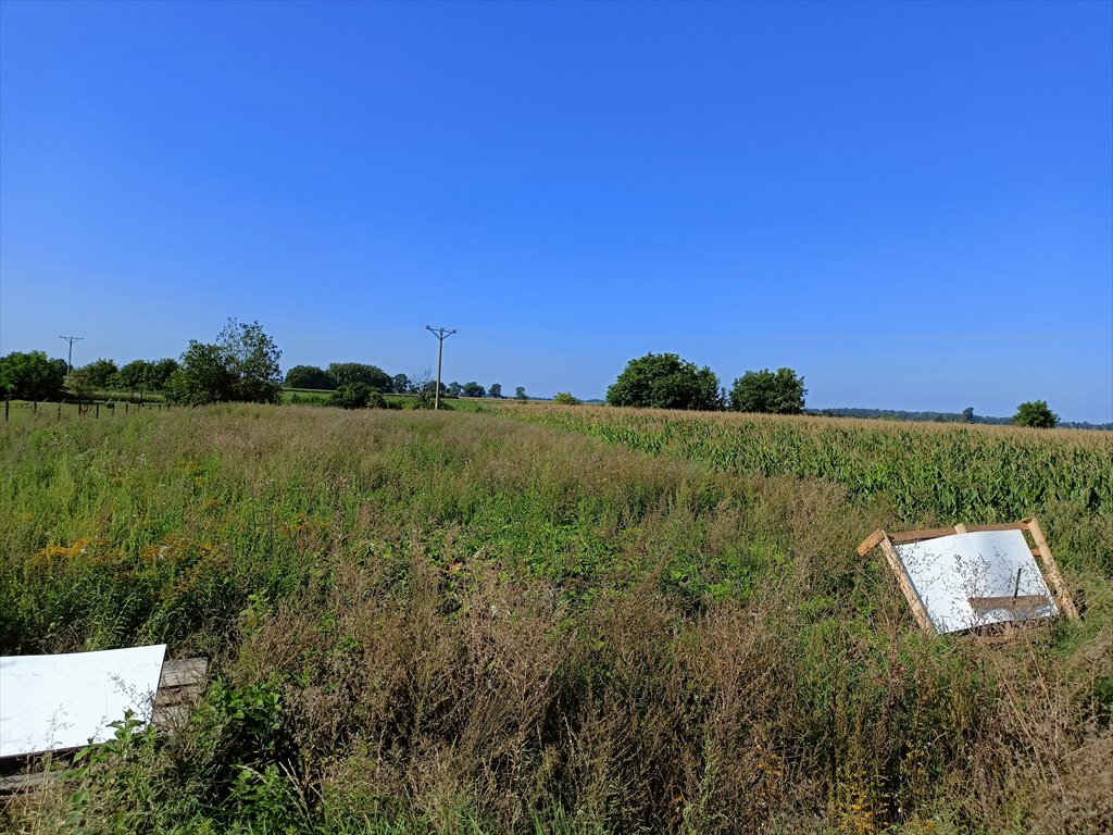 Działka budowlana na sprzedaż Borek Strzeliński, Oławska  2 138m2 Foto 5