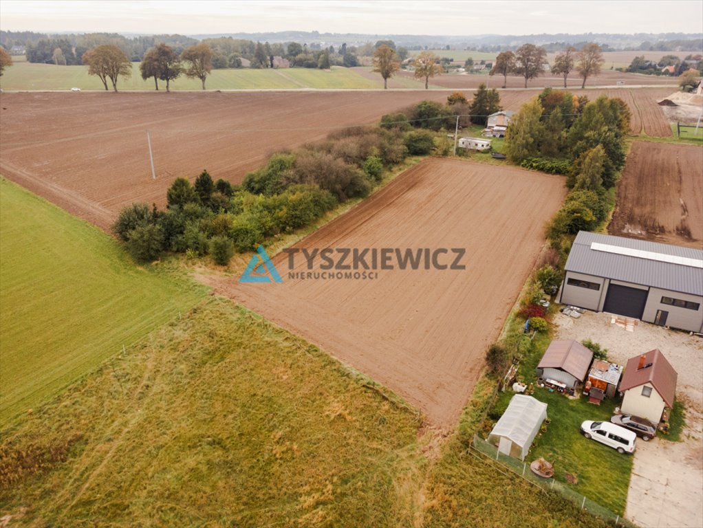 Działka rolna na sprzedaż Dobrzewino  7 071m2 Foto 7