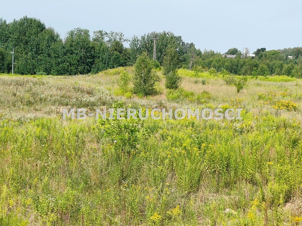 Działka inwestycyjna na sprzedaż Barczewo, Barczewo  39 554m2 Foto 3