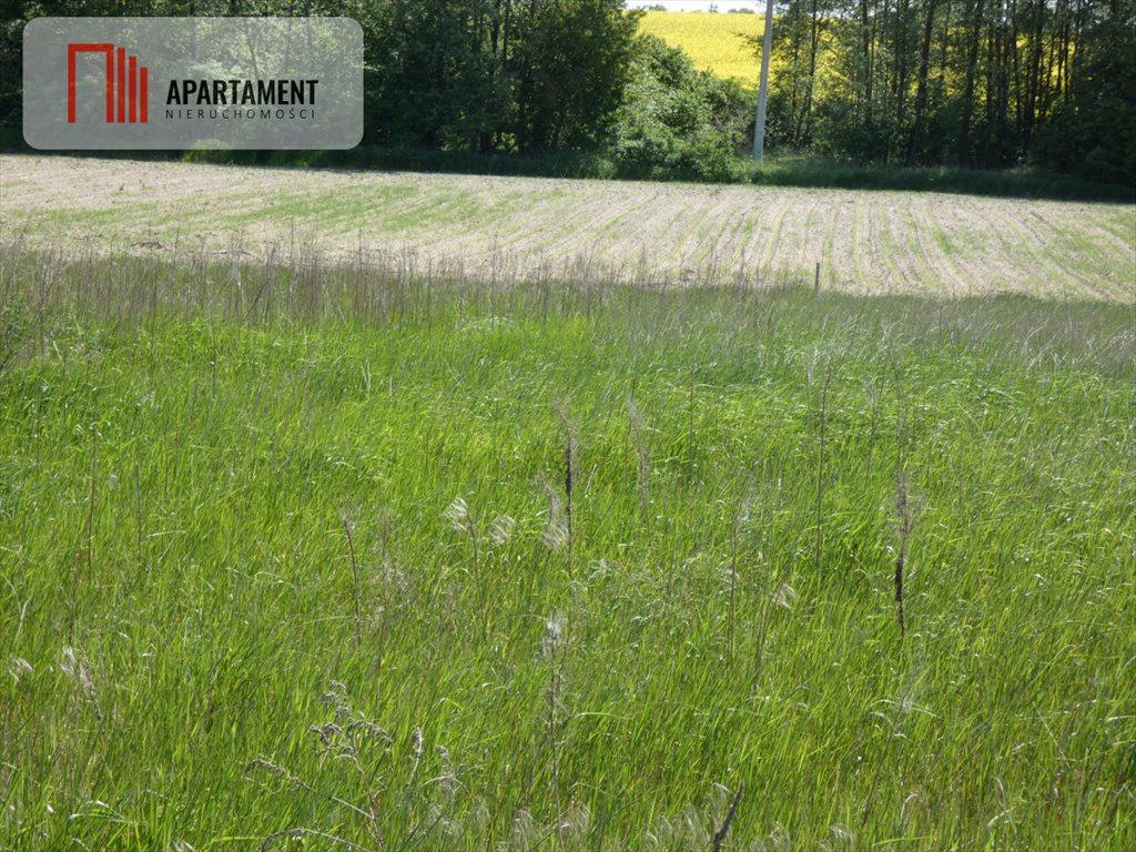 Działka budowlana 714 m2 z mediami - blisko lasów i jezior Rogowo  714m2 Foto 1