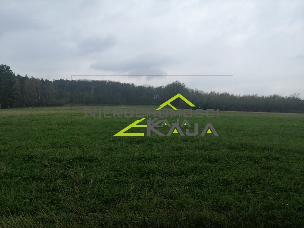 Działka budowlana na sprzedaż Grabowiec  3 008m2 Foto 11