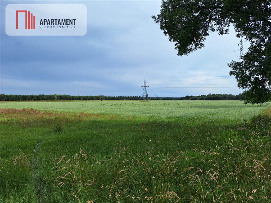 Działka inwestycyjna na sprzedaż Jastrowie  18 000m2 Foto 3