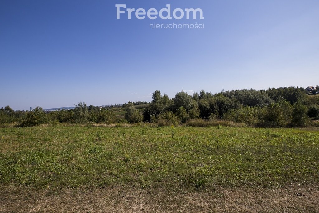 Działka budowlana na sprzedaż Kielanówka  5 500m2 Foto 10