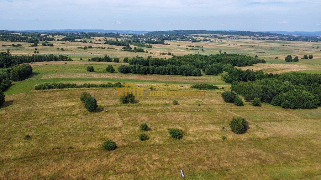 Działka rolna na sprzedaż Łężyny  1 500m2 Foto 5