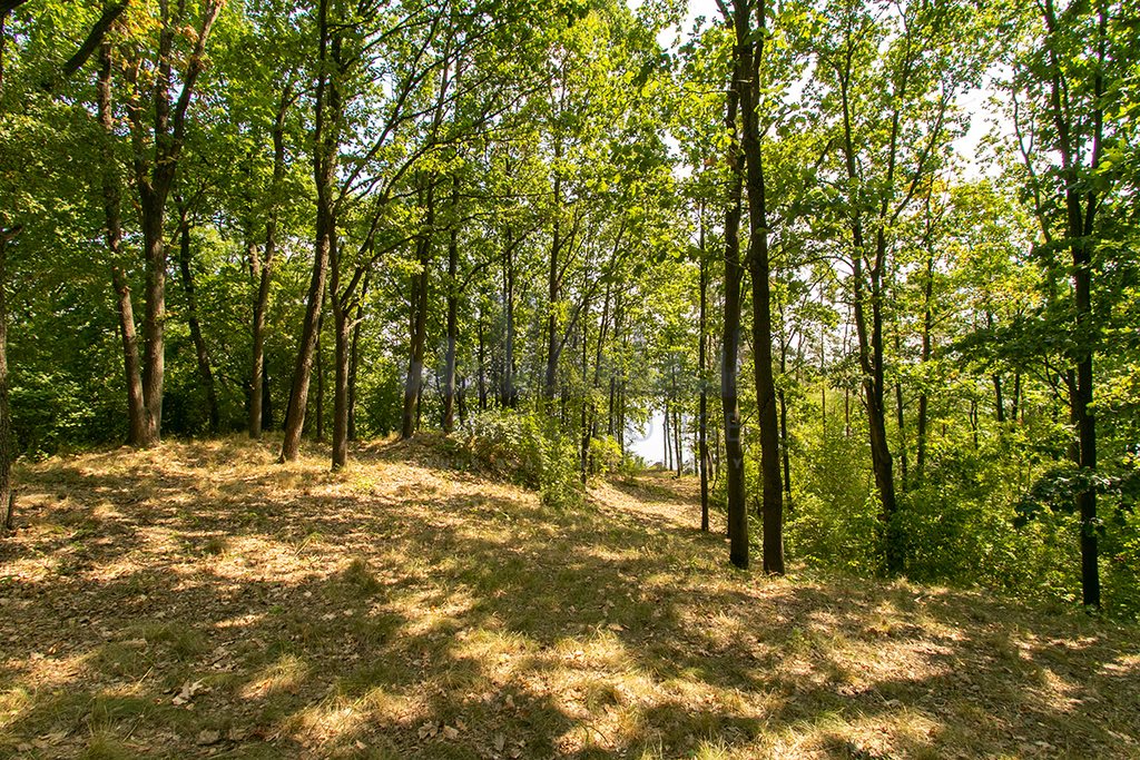 Działka inna na sprzedaż Serock, gen. Stefana Hubickiego  1 763m2 Foto 7