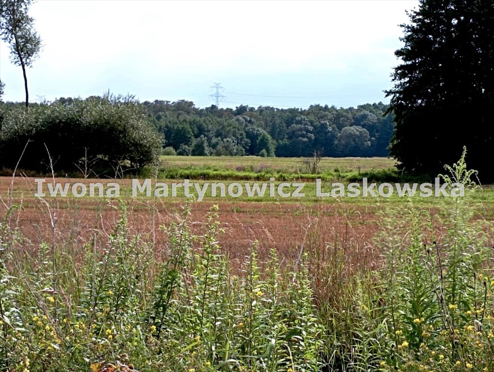 Działka inna na sprzedaż Ustronie  15 000m2 Foto 4