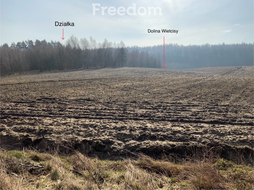 Działka siedliskowa na sprzedaż Szczodrowo  30 600m2 Foto 3