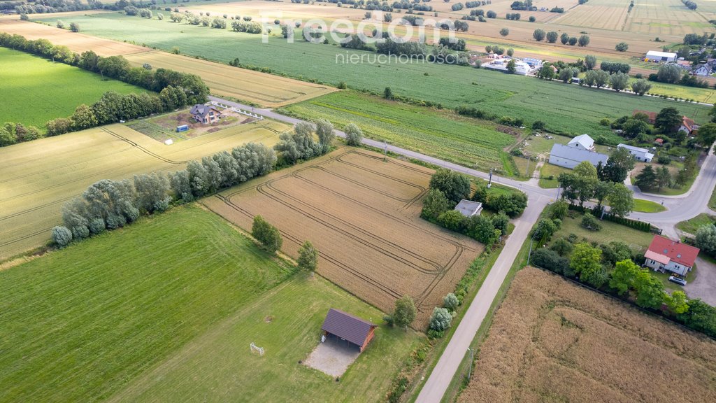 Działka budowlana na sprzedaż Ostrowite, Rzepakowa  2 449m2 Foto 15