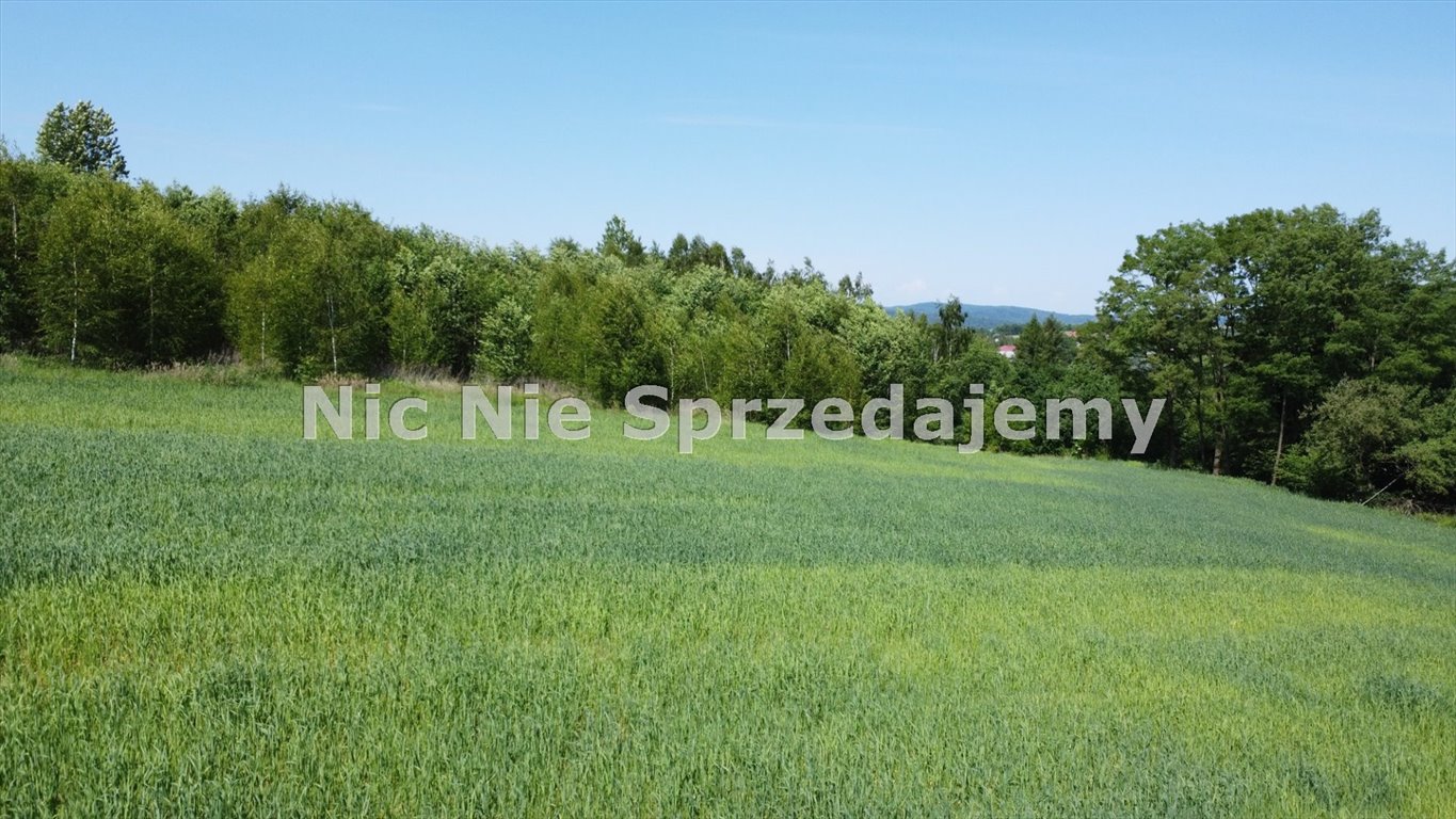 Działka budowlana na sprzedaż Gromnik, Siemiechów, Siemiechów, Siemiechów  1 500m2 Foto 2