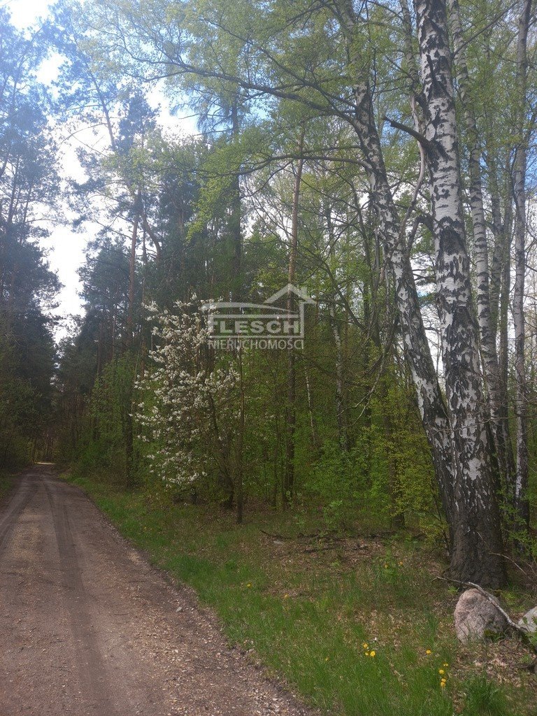 Działka rolna na sprzedaż Załęże Duże  7 300m2 Foto 12