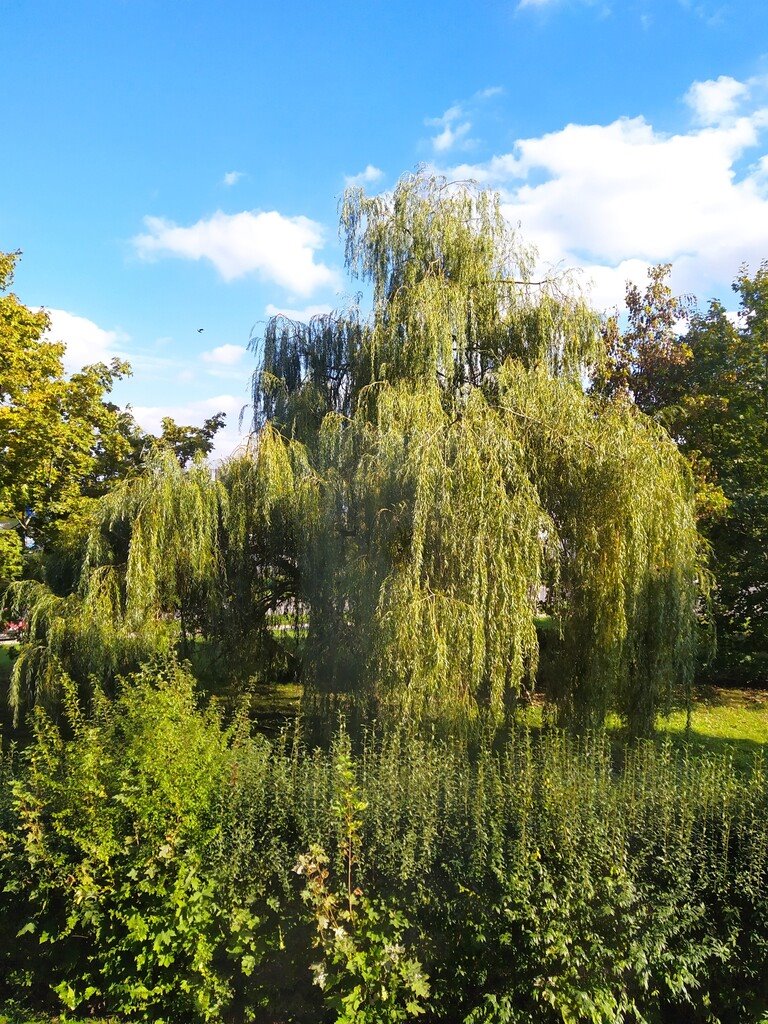 Mieszkanie dwupokojowe na sprzedaż Łódź, Górna, Poli Gojawiczyńskiej  37m2 Foto 3