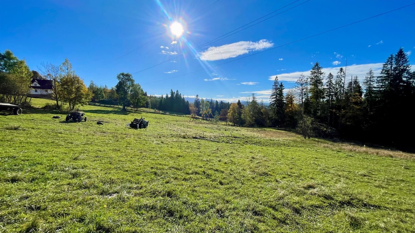 Działka budowlana na sprzedaż Sierockie  5 883m2 Foto 5