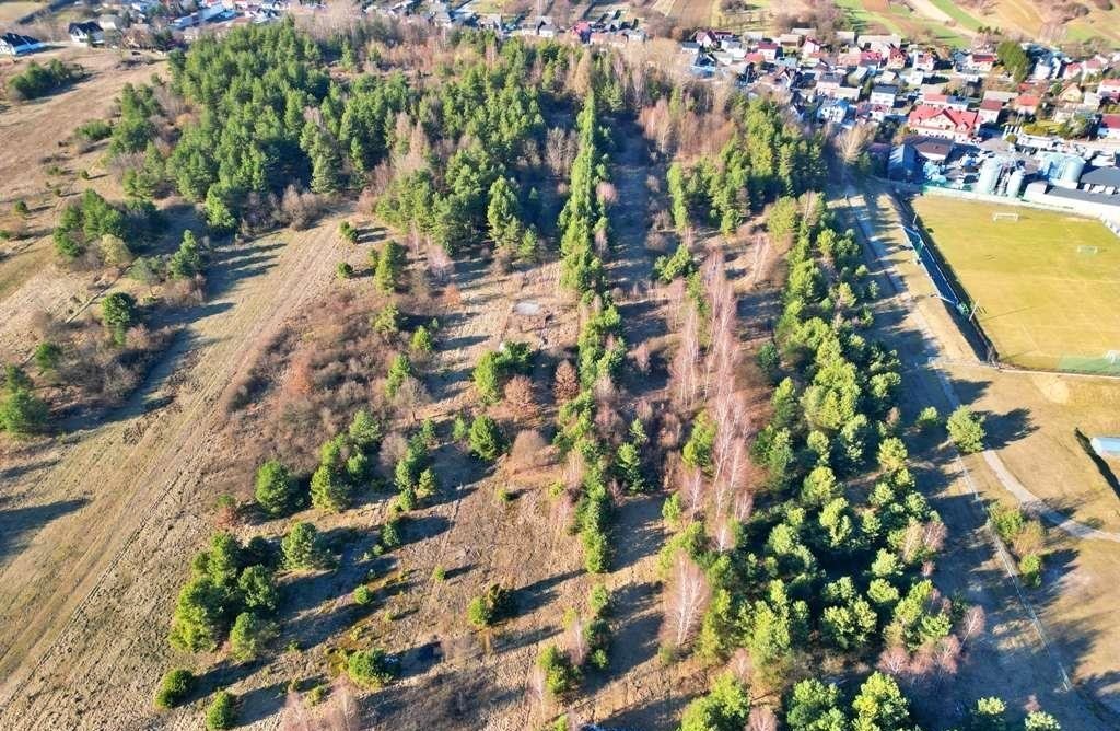 Działka rolna na sprzedaż Niegowa  3 233m2 Foto 3