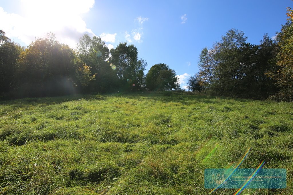 Działka budowlana na sprzedaż Hucisko Jawornickie  4 400m2 Foto 2