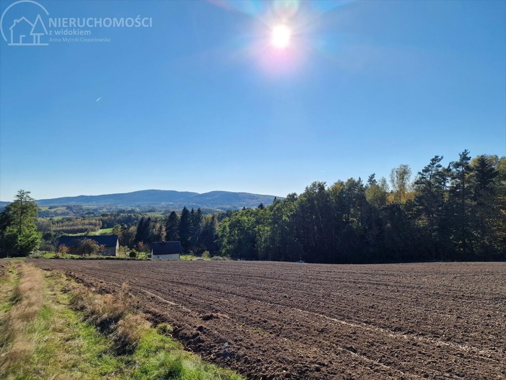 Działka budowlana na sprzedaż Błażkowa  2 200m2 Foto 3