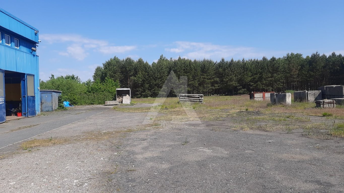 Magazyn na wynajem Brzoza  650m2 Foto 11