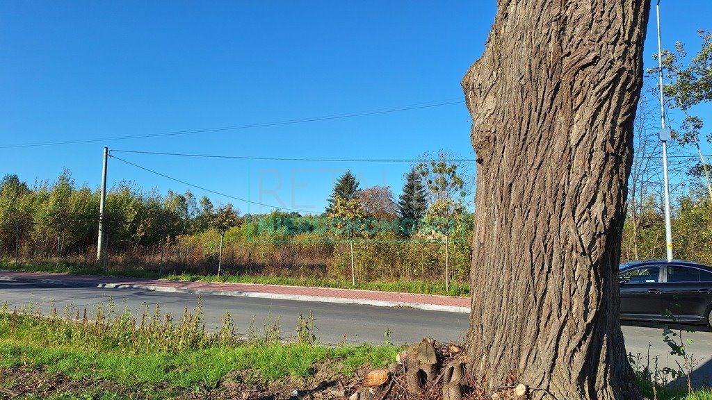 Działka budowlana na sprzedaż Radziejowice-Parcel  3 300m2 Foto 4