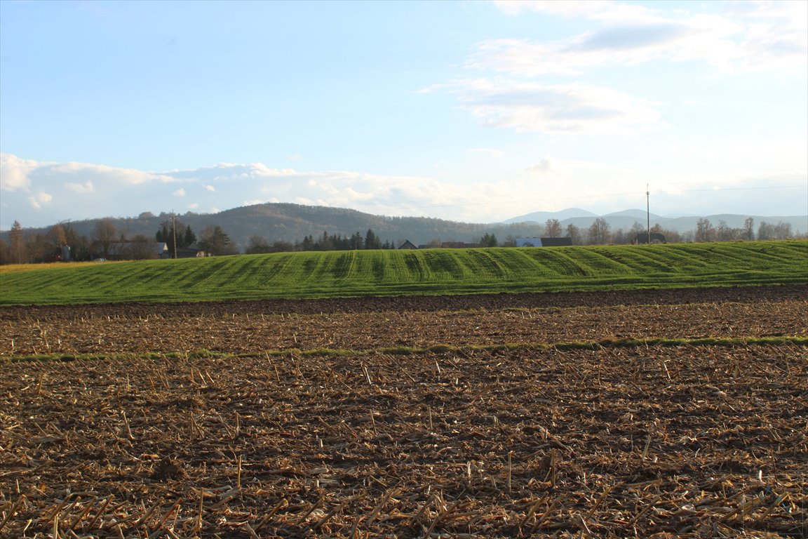 Działka budowlana na sprzedaż Gdów  3 474m2 Foto 5