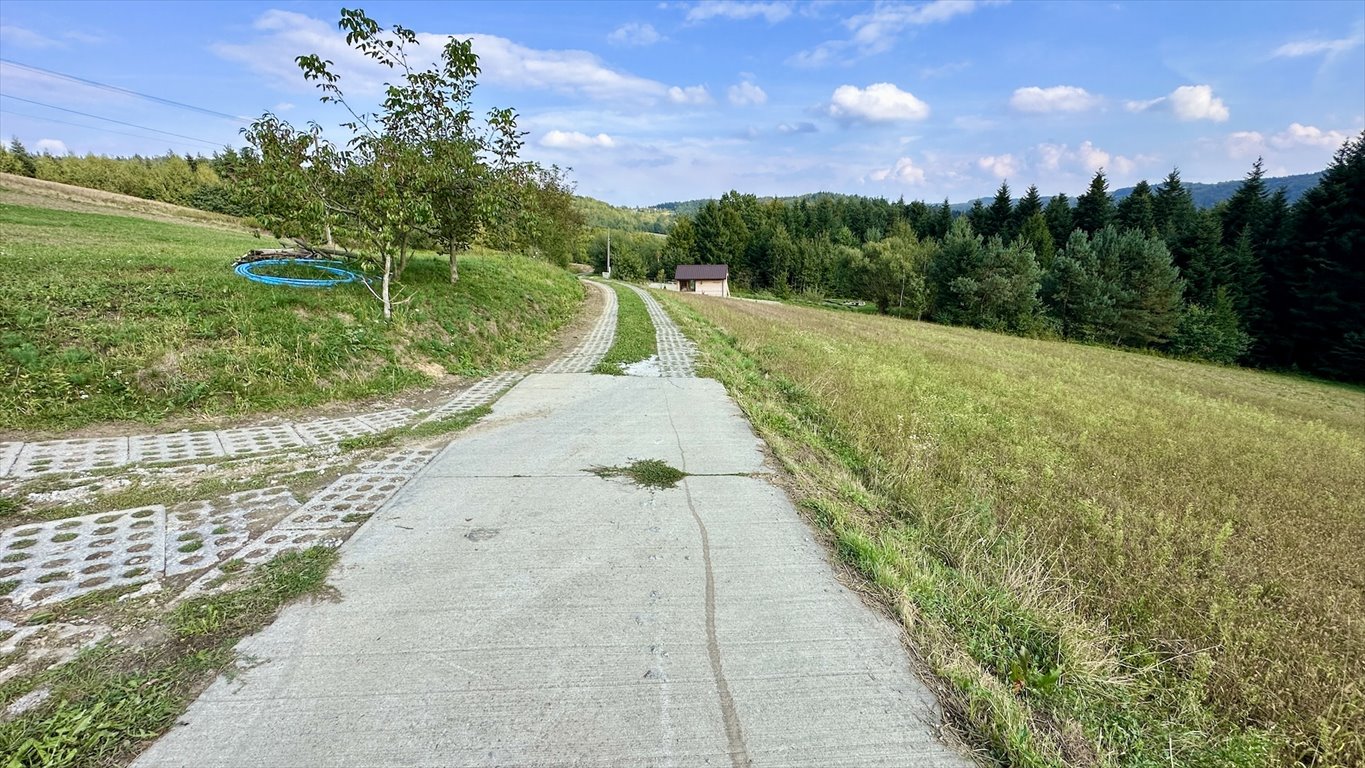 Działka budowlana na sprzedaż Bartkowa-Posadowa  1 836m2 Foto 9