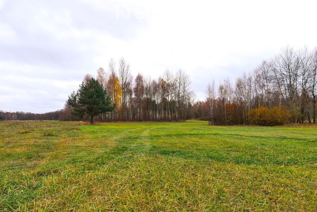 Działka siedliskowa na sprzedaż Łosiewice  33 300m2 Foto 4