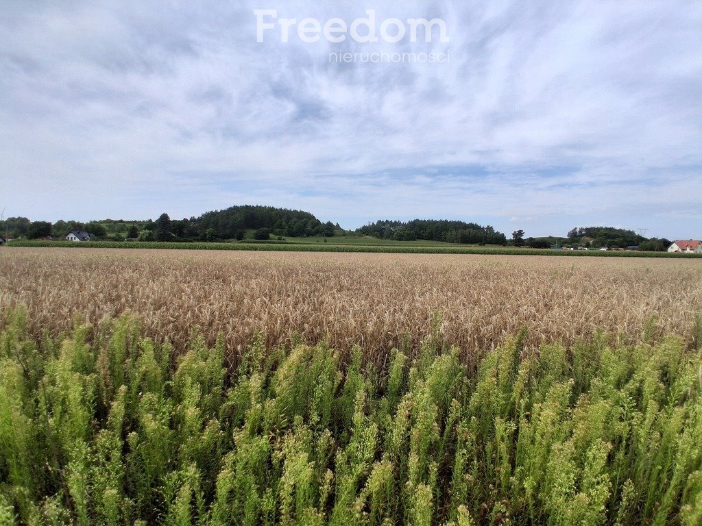 Działka budowlana na sprzedaż Handlowy Młyn  1 188m2 Foto 1
